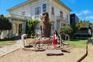 Santiago: Visita a Valparaiso e Casablanca