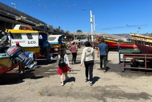 Santiago: Visita a Valparaiso e Casablanca