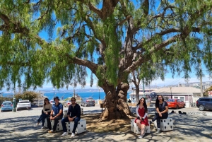 Santiago: Visita a Valparaiso e Casablanca