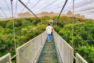 Santiago: Tricao Park, Isla Negra ja Pablo Nerudan talo.