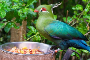 Santiago: Tricao Park, Isla Negra ja Pablo Nerudan talo.