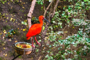 Santiago: Tricao Park, Isla Negra ja Pablo Nerudan talo.