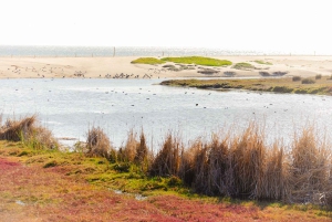 Santiago: Tricao Park, Isla Negra ja Pablo Nerudan talo.