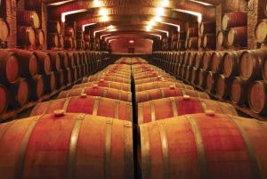 Santiago: Tricao Park, Isla Negra ja Pablo Nerudan talo.