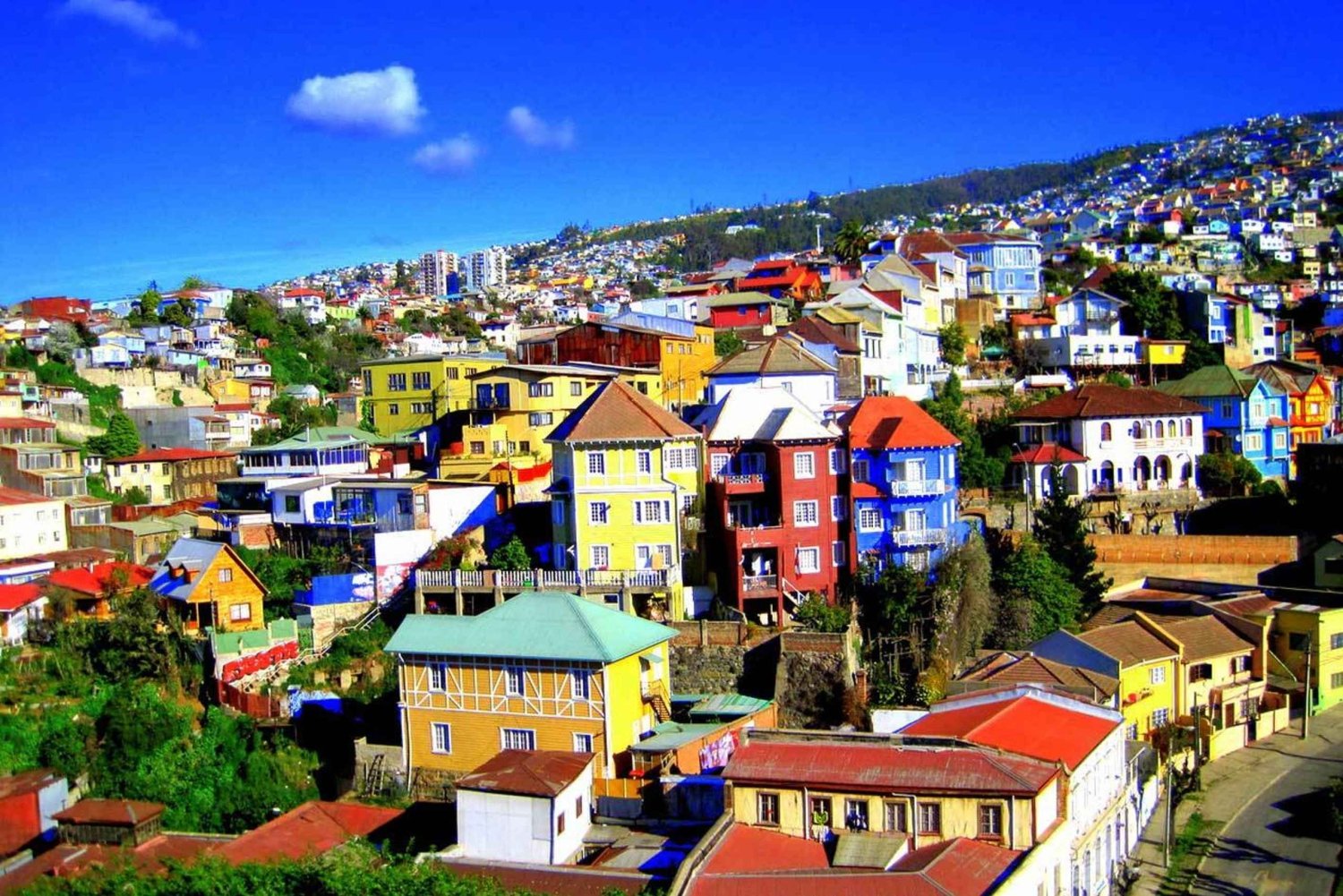 Santiago : Valparaiso, Viña del Mar et la vallée de Casablanca