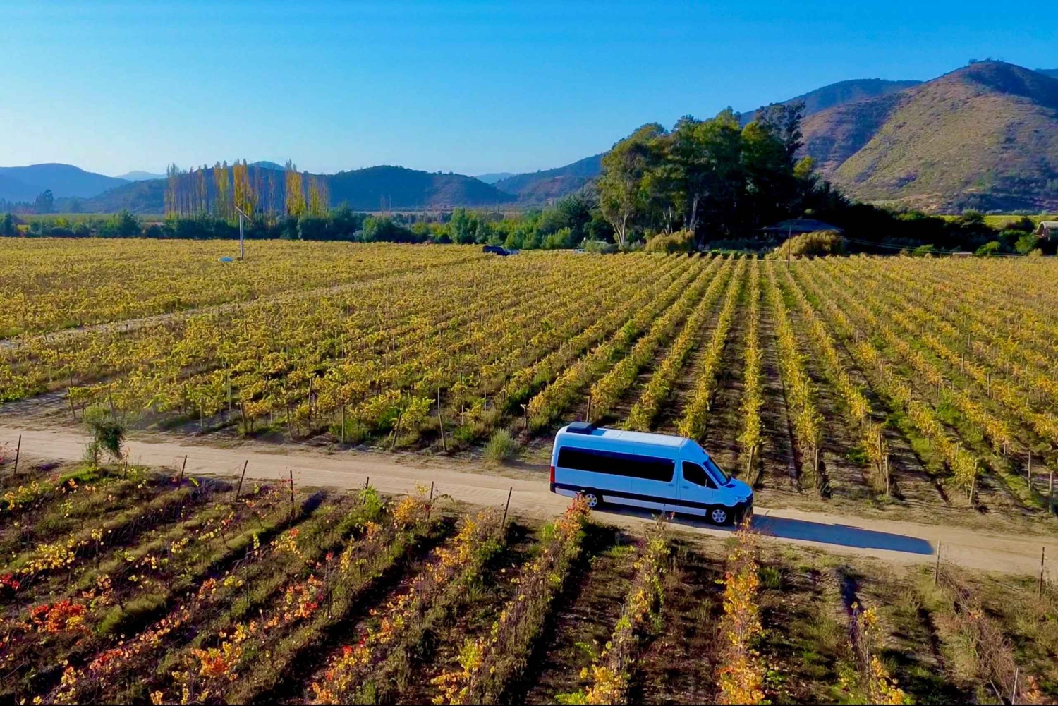 Santiago: Valparaiso, Viña del Mar, & Casablanca Vallei Tour