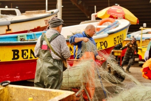 Santiago: Valparaiso, Viña del Mar, & Casablanca Vallei Tour