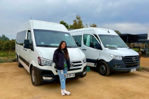 Santiago: Valparaiso, Viña del Mar, & Casablanca Vallei Tour