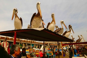 Santiago: Valparaiso, Viña del Mar, & Casablanca Vallei Tour