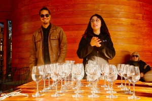 Santiago: Valparaiso, Viña del Mar, & Casablanca Vallei Tour