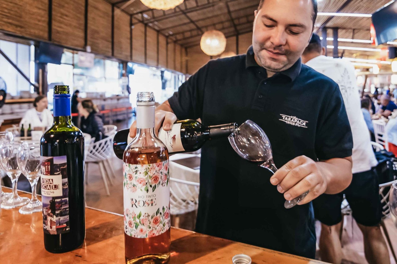 Vina Del Mar, Valparaiso, Casablanca, Reñaca, Oceanic Rock