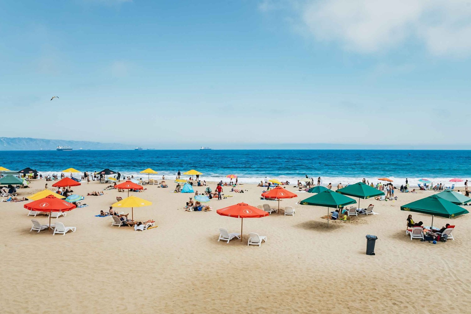 Vina Del Mar, Valparaiso, Casablanca, Reñaca, Oceanic Rock
