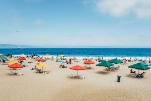 Vina Del Mar, Valparaiso, Casablanca, Reñaca, Oceanic Rock