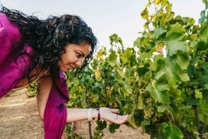 Vina Del Mar, Valparaiso, Casablanca, Reñaca, Oceanic Rock