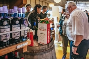 Vina Del Mar, Valparaiso, Casablanca, Reñaca, Oceanic Rock