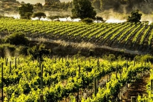 Vina Del Mar, Valparaiso, Casablanca, Reñaca, Oceanic Rock