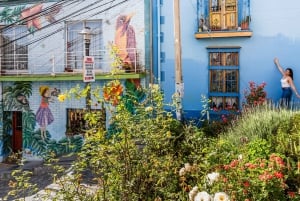 Vina Del Mar, Valparaiso, Casablanca, Reñaca, Oceanic Rock