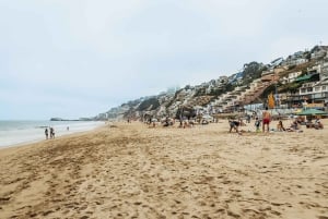 Vina Del Mar, Valparaiso, Casablanca, Reñaca, Oceanic Rock