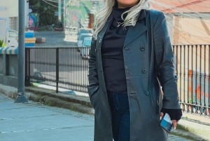 Santiago: Viña Del Mar, Valparaiso, Casablanca i Reñaca Tour