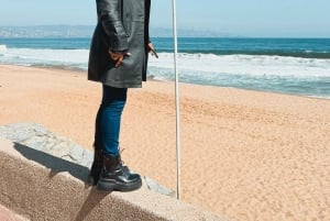 Santiago: Viña Del Mar, Valparaiso, Casablanca i Reñaca Tour