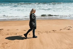 Santiago: Viña Del Mar, Valparaiso, Casablanca i Reñaca Tour