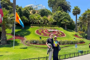 Santiago: Viña del Mar, Valparaiso & Casablanca Valley Tour