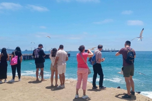 Santiago: Viña del Mar, Valparaiso & Casablanca Valley Tour