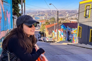 Santiago: Viña del Mar, Valparaiso & Casablanca Valley Tour
