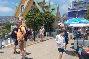 Santiago: Viña del Mar, Valparaiso & Casablanca Valley Tour