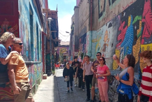 Santiago: Viña del Mar, Valparaiso & Casablanca Valley Tour