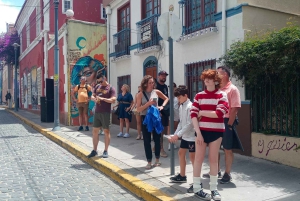 Santiago: Viña del Mar, Valparaiso & Casablanca Valley Tour