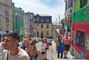 Santiago: Viña del Mar, Valparaiso & Casablanca Valley Tour