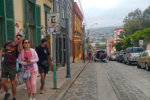 Santiago: Viña del Mar, Valparaiso & Casablanca Valley Tour