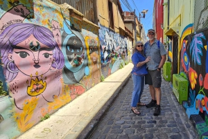 Santiago: Viña del Mar, Valparaiso & Casablanca Valley Tour