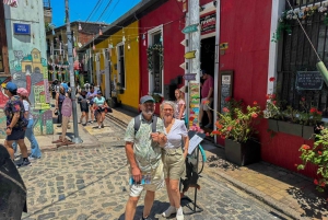 Santiago: Viña del Mar, Valparaiso & Casablanca Valley Tour