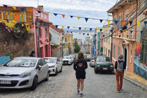 Santiago: Viña del Mar, Valparaiso & Casablanca Valley Tour