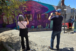 Santiago: Viña del Mar, Valparaiso & Casablanca Valley Tour