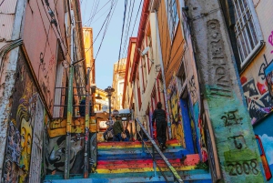 Santiago: Viña del Mar, Valparaiso & Casablanca Valley Tour