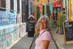 Santiago: Viña del Mar, Valparaiso & Casablanca Valley Tour