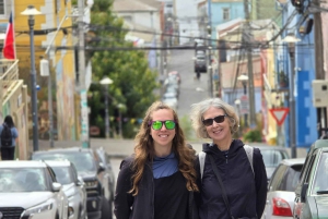 Santiago: Viña del Mar, Valparaiso & Casablanca Valley Tour