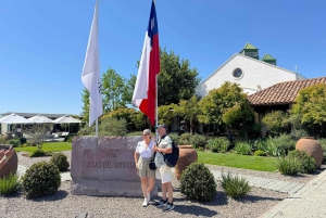 Santiago: Viña del Mar, Valparaiso & Casablanca Valley Tour