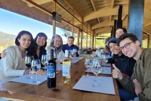 Santiago: Viña del Mar, Valparaiso & Casablanca Valley Tour