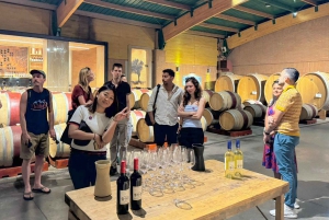 Santiago: Viña del Mar, Valparaiso & Casablanca Valley Tour