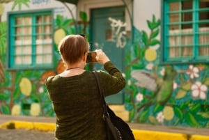 Santiago: Viña del Mar, Valparaiso, med vinprovning