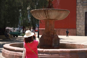 Santiago: Walking city historical & Cultural tour
