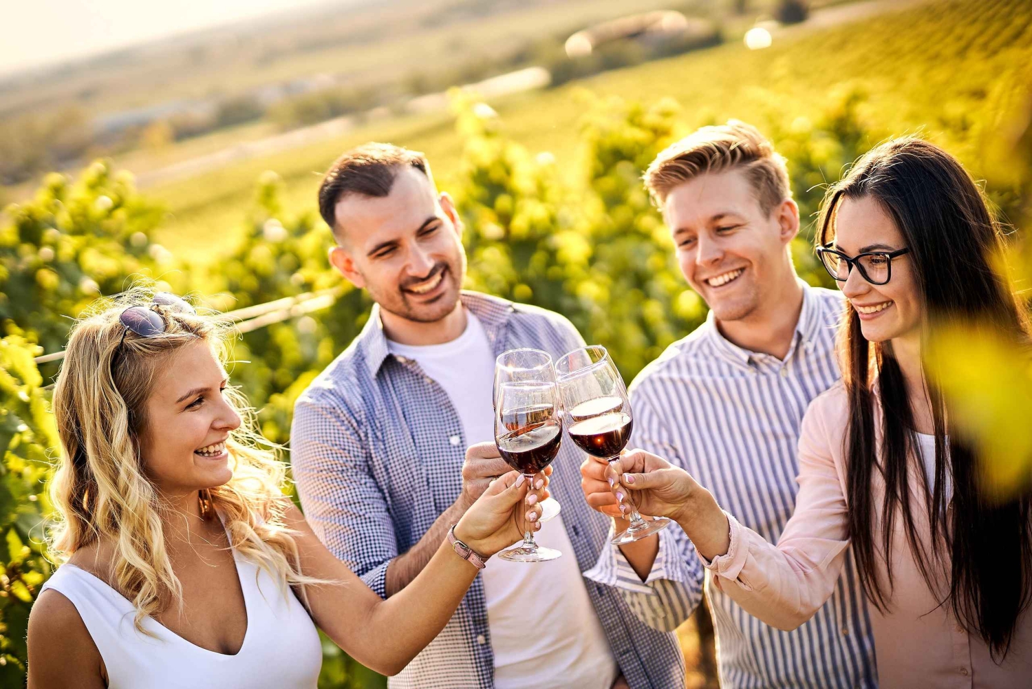 Santiago: Tanino: Maailmanluokan viinit, vierailu 4 viinitilalle ja Taninoon.