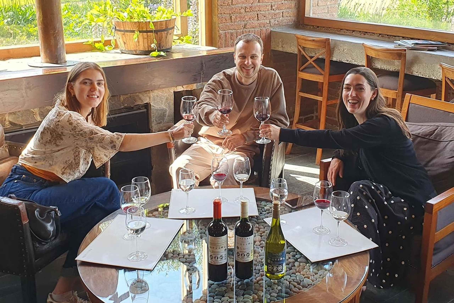 Santiago: Tanino: Maailmanluokan viinit, vierailu 4 viinitilalle ja Taninoon.