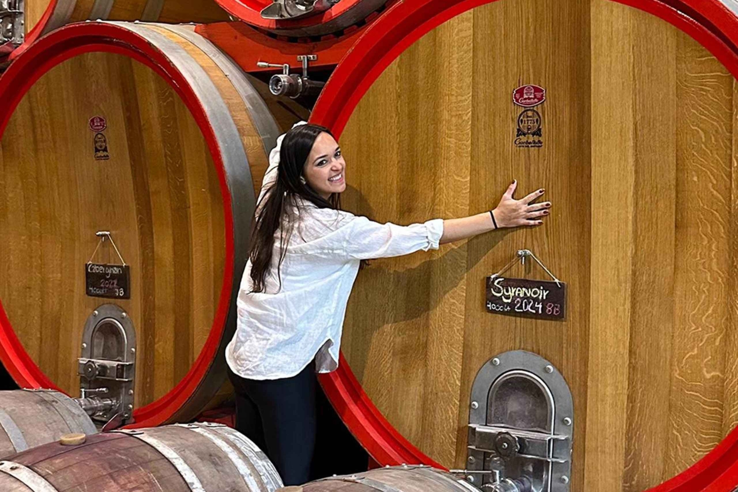 Santiago: Tanino: Maailmanluokan viinit, vierailu 4 viinitilalle ja Taninoon.