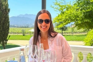 Santiago: Weltklasse-Weine, Besuch von 4 Weingütern und Tanino