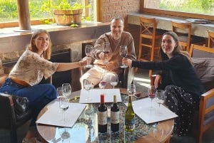 Santiago: Weltklasse-Weine, Besuch von 4 Weingütern und Tanino